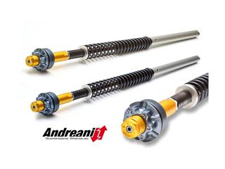 Andreani cartridge kit για Ducati GT1000 "2007-10", GT1000 "2009"