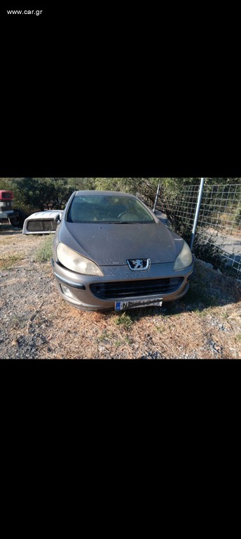 Peugeot 407 2004