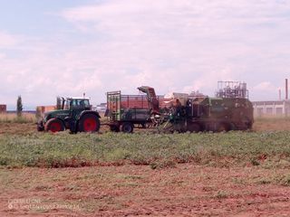 Tractor tomato machinery '04 SANDEI 150