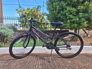 Mountain Probike 2020 Mountain 26"