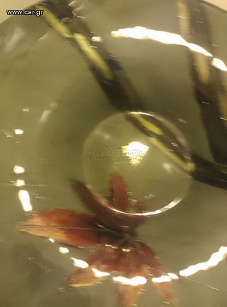 Γυάλινη ζωγραφισμένη φρουτιερα 38 εκστοστα-thumb-3