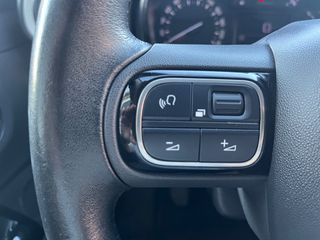 Citroen C3 2020 BICOLORE EDITION/51.000 ΚΜ..!!ΕΛΛΗΝΙΚΟ/ΙΔΙΩΤΗΣ-thumb-28