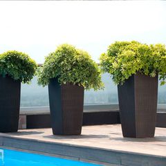 PLASTONA NATURA Γλάστρα 42lt - 31x31x56cm-thumb-2