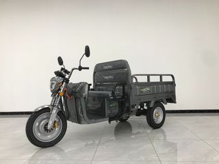 Eborn Cargocat 2 2026 Ηλεκτρικό Τρίκυκλο 2-F