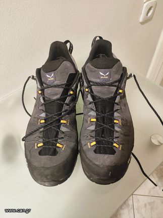 Salewa ALP TRAINER 2 GTX M