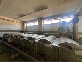 ΠΡΟΣΦΟΡΑ!!!!ΠΑΚΕΤΟ ΟΛΟΚΛΗΡΟ ΕΛΑΙΟΥΡΓΕΙΟ westfallia separator ΠΩΛΕΙΤΑΙ ΟΛΟΚΛΗΡΟ μόνο άμεςα ενδιαφερόμενοι-thumb-4