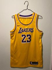 Nike NBA LeBron James Los Angeles Lakers Swingman Icon Edition 2022/23 DN2009-733 Ανδρική Φανέλα Εμφάνισης Μπάσκετ