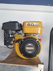 Olive Oil Machines-Comb Pickers 2025 robin 6hp