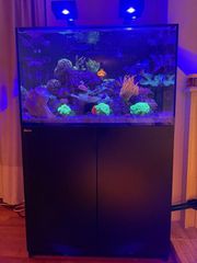 Reef Aquarium - Full kit cost over €7,000