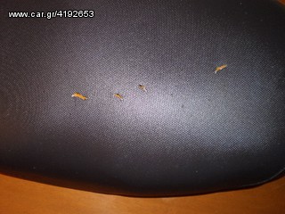 ΣΕΛΑ ΓΙΑ PIAGGIO SFERA 50-thumb-10