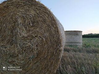 Άχυρα στρογγυλή μπάλα