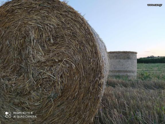 Άχυρα στρογγυλή μπάλα