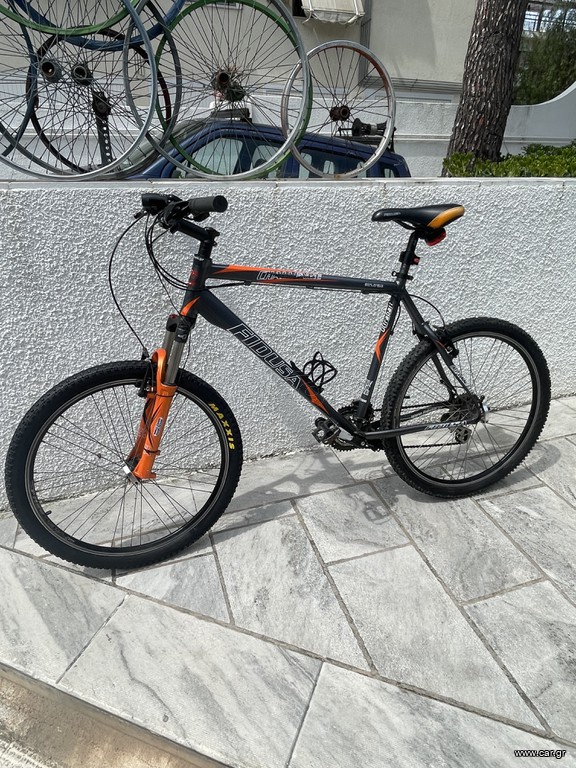All - Mountain Fidusa 2012