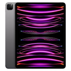 Apple iPad Pro 2022 12.9" ( 512 GB/M2/iPadOS ) + Apple Pencil second Gen