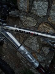 All - Mountain Rose 2007 Red bull-thumb-4