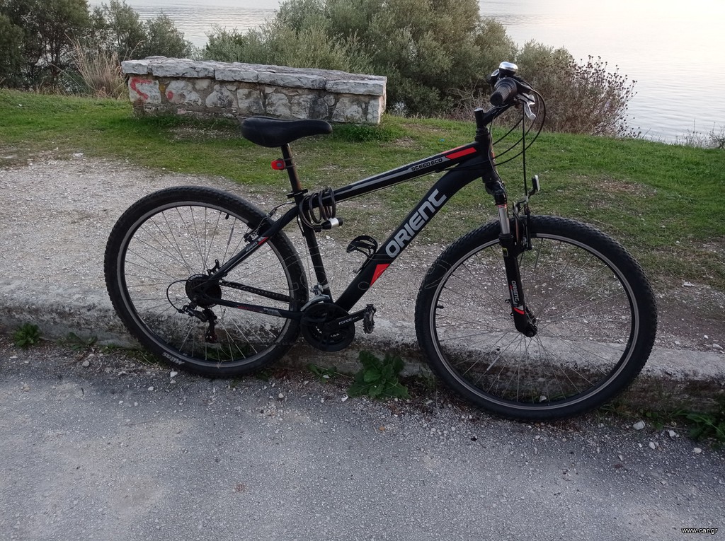 All - Mountain Orient 2020 STEED ECO 29''