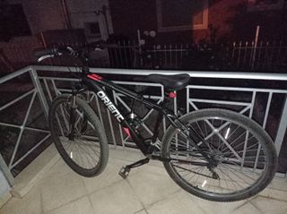 All - Mountain Orient 2020 STEED ECO 29''-thumb-1