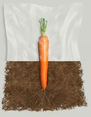 ΦΥΣΙΚΕΣ ΣΑΚΟΥΛΕΣ ΒΑΚΟΥΜ ΒΙΟΔΙΑΣΠΟΜΕΝΕΣ compostable NATURAL COMPOSTABLE VACUUM