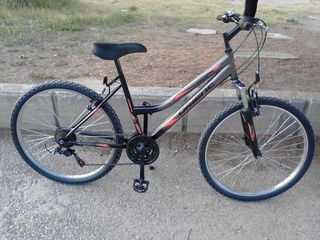 Πόλης Orient 2025 LUXUS