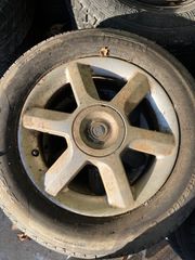 Ζαντολάστιχα για Fiat