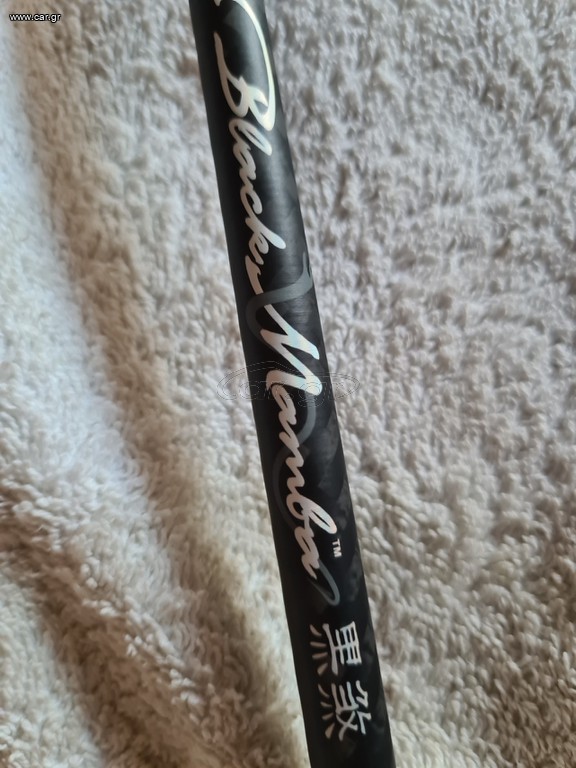 Black mamba