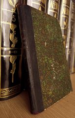 Ε. Лепеллетье (1890) Наследник Великой Франции, А. А. Каспари, ρωσικό βιβλίο