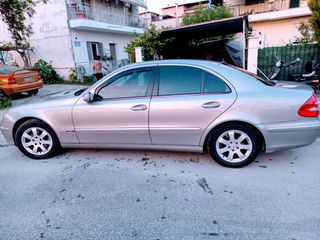 Ζαντολαστιχα-thumb-6