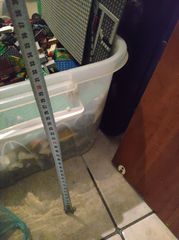 Lego-thumb-6