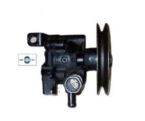 NISSAN TERRANO II/R20,FORD MAVERICK/UDS/UNS (1992-2007), Αντλία υδραυλικού τιμονιού 2.4i/2.4 4WD, με κωδικό 491100F900