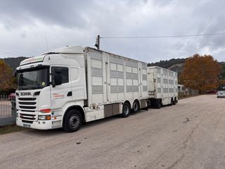 Ζωάδικο Scania 2014 R 500 PEZZAIOLI 2014