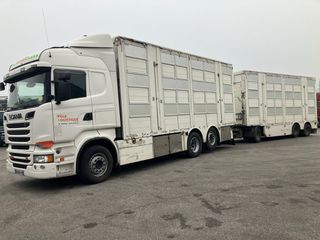 Ζωάδικο Scania 2014 R 500 PEZZAIOLI 2014