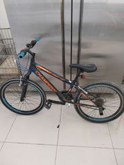 All - Mountain Champion 2022 Quattro