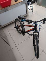 All - Mountain Champion 2022 Quattro-thumb-4