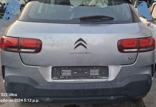Citren c4 cactus