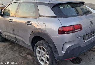 Citren c4 cactus-thumb-1