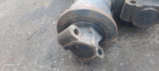 Ραουλο για ερπύστριες