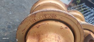 Ραουλα για ερπυστριες