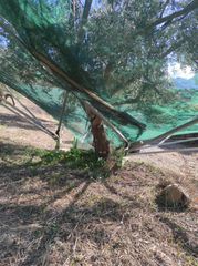 Δίχτυ ομπρέλα χειροποίητο για τρακτερ-thumb-3