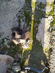 lebies vw passat 1800-thumb-3