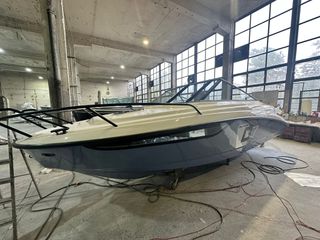 Remus 2026 D7