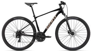 Trekking Giant 2022 ROAM 4