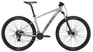Mountain Giant 2022 TALON 3