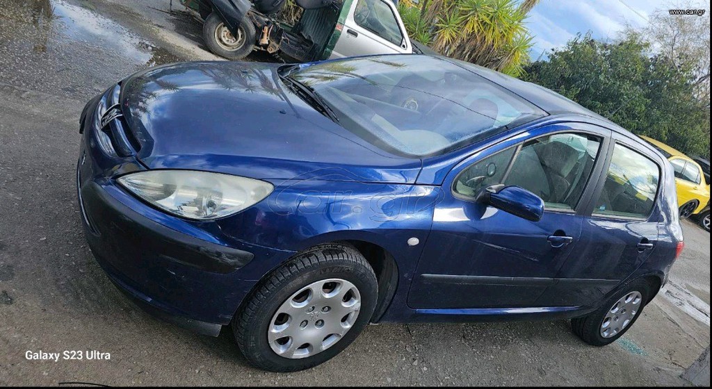 Peugeot 307 '04