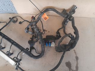 Πλεξούδα Hyundai i30 (FD) Hatchback [2007-2012] (κωδ.80728765)