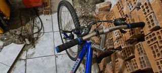 All - Mountain Maxim 2013