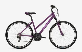 Trekking Ballistic 2024 COASTER W