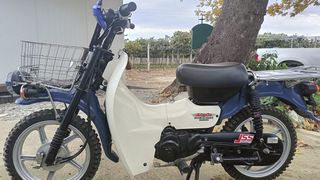 Suzuki FB 2010 Birdie