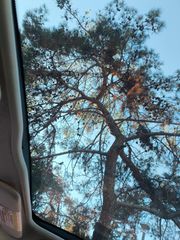 Fiat 500 2015 1.2 LOUNGE PANORAMA-thumb-16