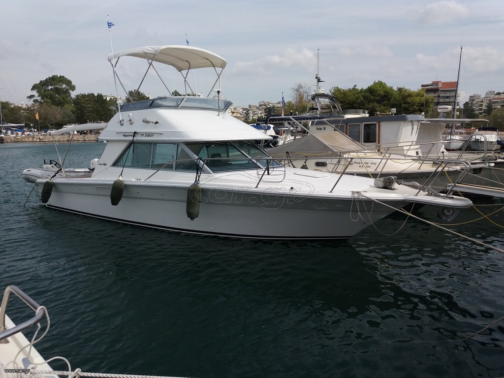 Sea Ray 1995 Amberjack 31