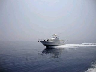 Sea Ray 1995 Amberjack 31-thumb-2